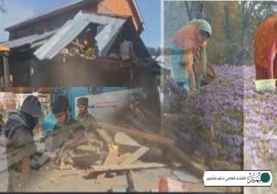 نام نہادانسداد منشیات مہم درحقیقت مظلوم کشمیریوں کی معیشت پر حملہ ہے: رپورٹ