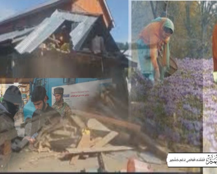 نام نہادانسداد منشیات مہم درحقیقت مظلوم کشمیریوں کی معیشت پر حملہ ہے: رپورٹ