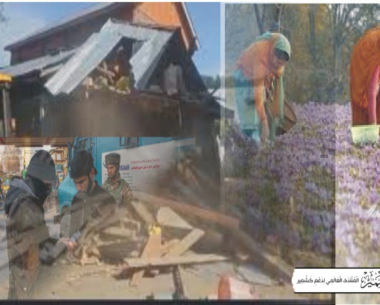 بی جے پی حکومت مقبوضہ جموں وکشمیر کی زمینی صورتحال کے بارے میں دنیا کو گمراہ کررہی ہے