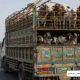 مقبوضہ جموں وکشمیر: عیدالاضحیٰ سے قبل جموں میں جانوروں کی نقل و حمل پر پابندی