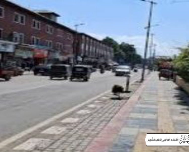 سرینگر کے تجارتی مرکز لال چوک میں عیدسے قبل تجارتی سرگرمیاں ماند رہیں