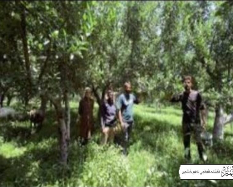 مقبوضہ کشمیر میں باغ مالکان کو بے دخلی کا سامنا