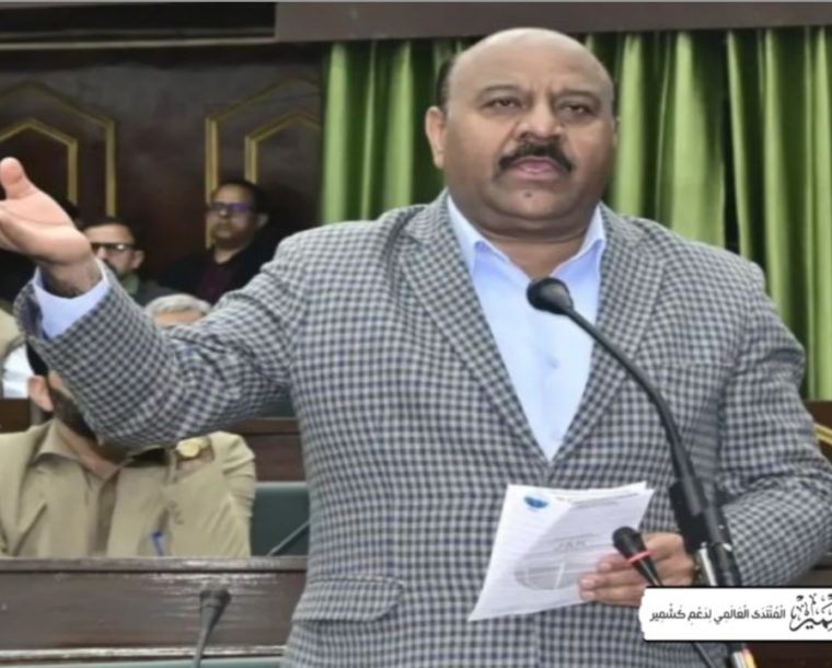 مقبوضہ کشمیر کی ریاستی حیثیت کی بحالی میں تاخیر سے آئندہ نسلوں کو نقصان پہنچے گا: نائب وزیراعلیٰ