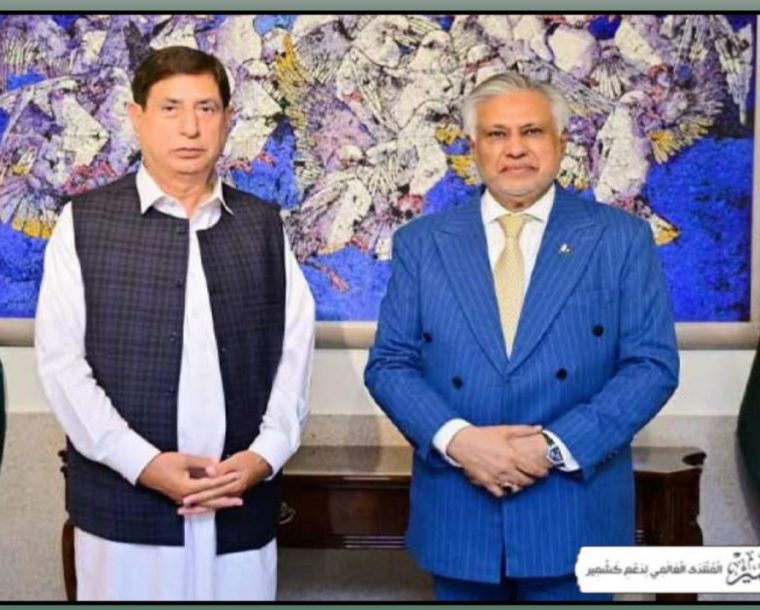 اسحاق ڈار سے صدر(ن) لیگ آزاد کشمیر کی ملاقات، حکومت سازی سے متعلق امور پر گفتگو