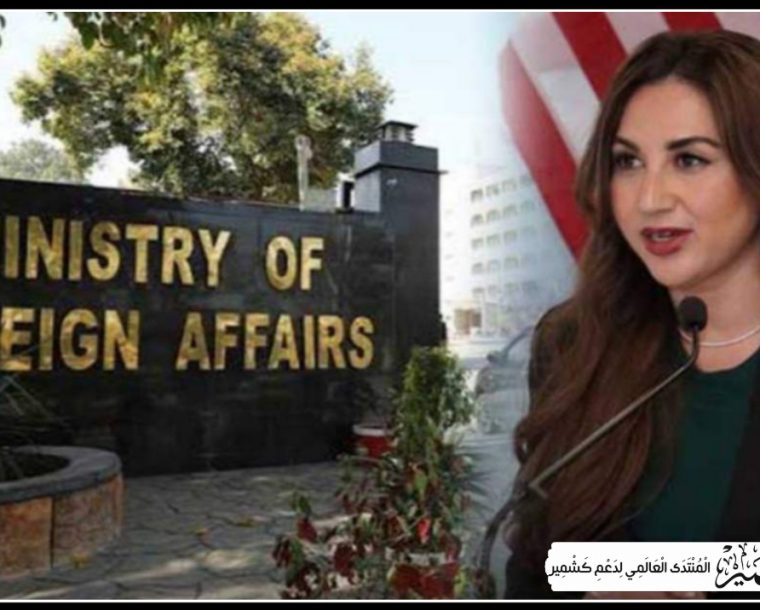 پاکستان کا مقبوضہ کشمیر سے متعلق امریکی بیان پر ناظم الامور کو ڈی مارش