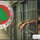 حریت کانفرنس کا جیلوں میں غیر قانونی طور پر نظر بند کشمیریوں کی حالت زار پر اظہار تشویش