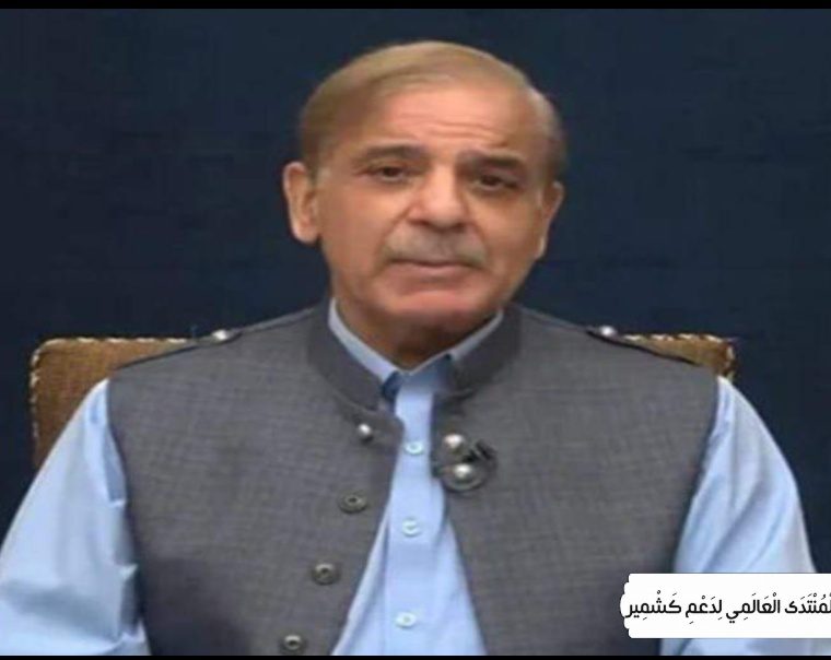 مسئلہ کشمیر حل کیے بغیر جنوبی ایشیا میں حقیقی اور دیرپا امن ممکن نہیں، شہباز شریف