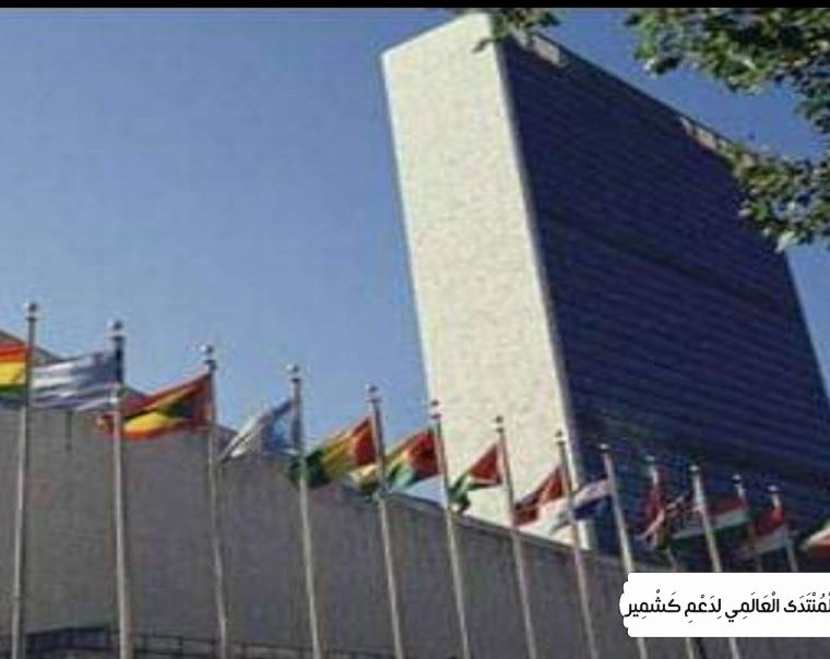 پاکستان کا غزہ میں عالمی قانون کی پاسداری یقینی بنانے، کشمیریوں کے حق خودارادیت کا اعادہ