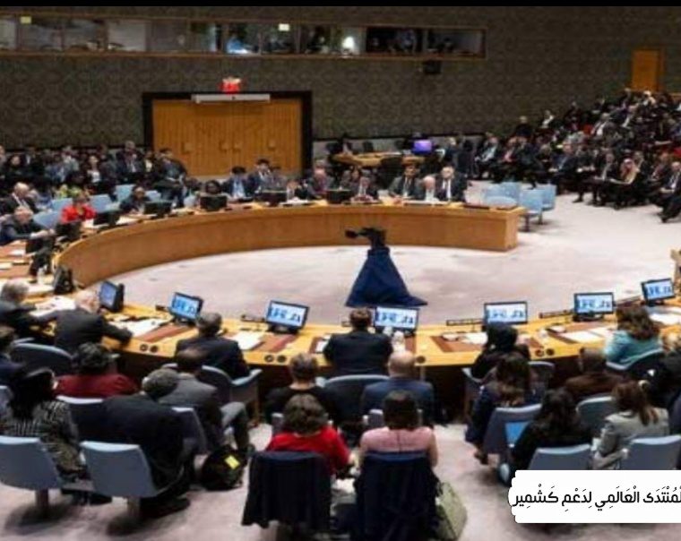 جموں و کشمیر نہ کبھی بھارت کا اٹوٹ انگ تھا، نہ ہے اور نہ ہو گا، پاکستان
